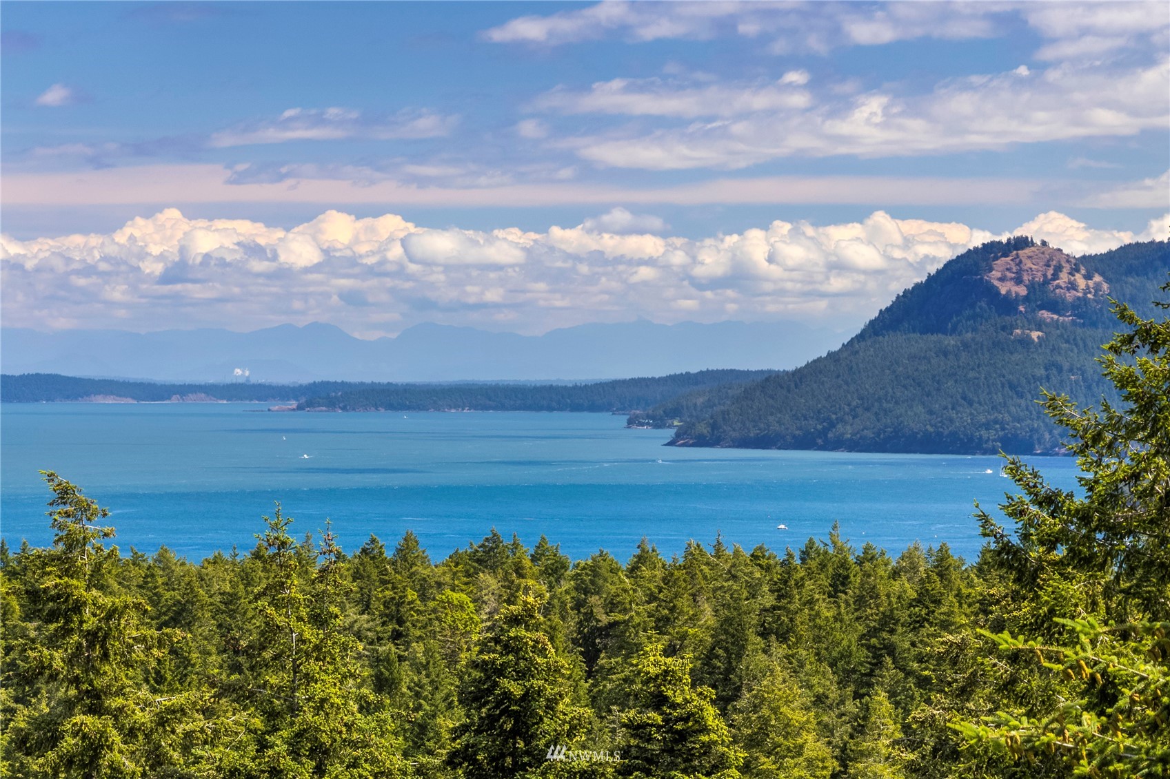 338 Sunrise Ridge Road San Juan Island, WA 98250 - Photo 4 of 39 a view of yard with ocean view