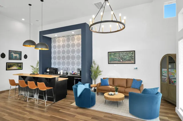 a living room with furniture a rug and a potted plant