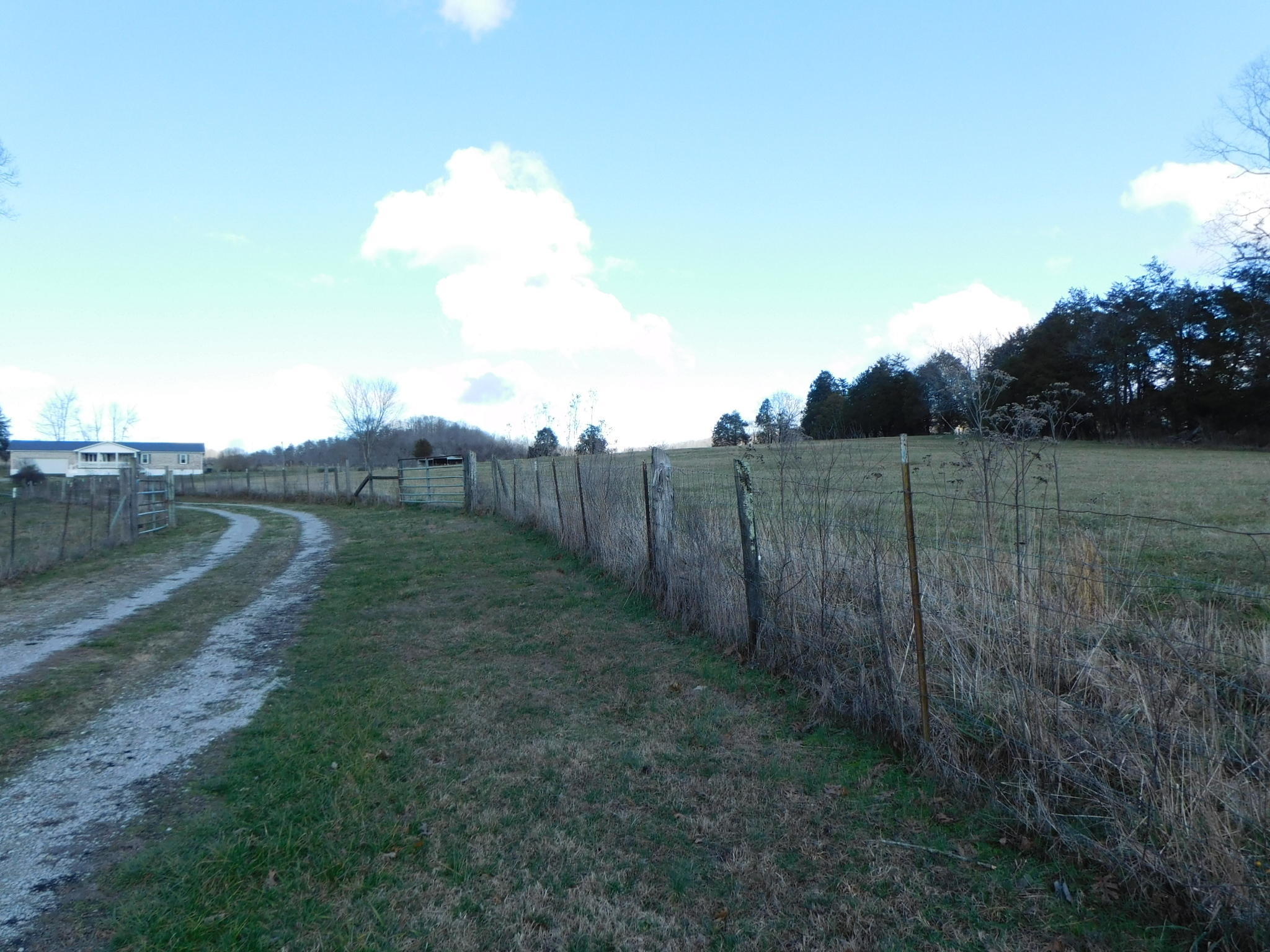 280 Gene Gray Road Monticello, KY 42633 - Photo 40 of 71 DSCI0383
