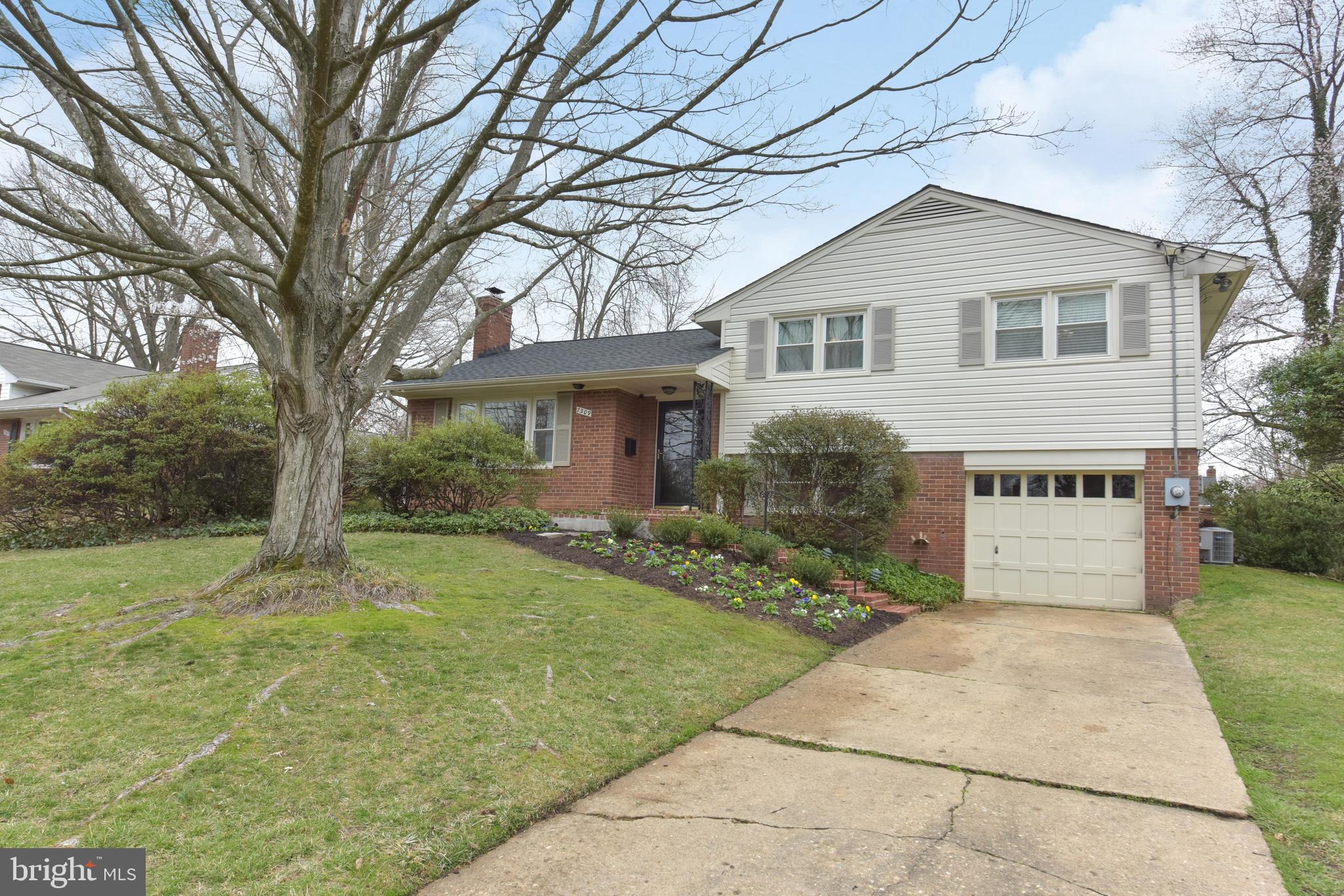 7309 Dunston Street Springfield, VA 22151 - Photo 34 of 37 That amazing tree makes a statement!