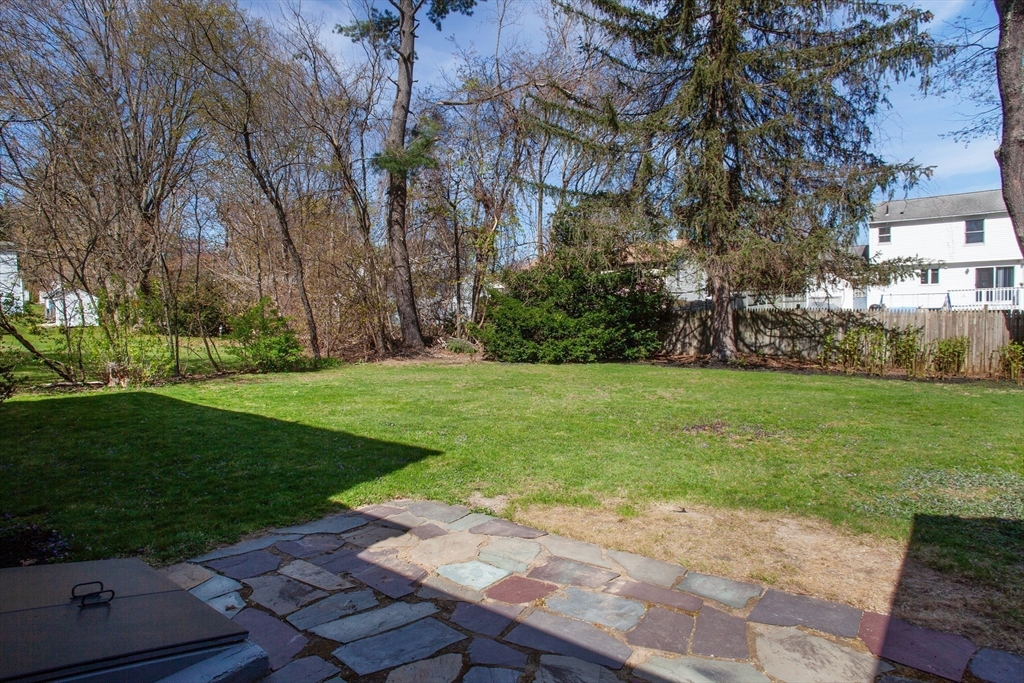 31 East Allen Ridge Road Springfield, MA 01118 - Photo 33 of 34 a view of a park with large trees