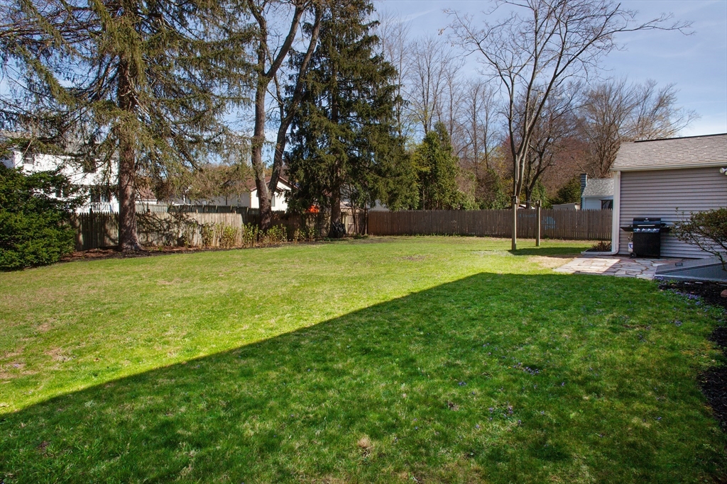 31 East Allen Ridge Road Springfield, MA 01118 - Photo 34 of 34 a view of a park with large trees