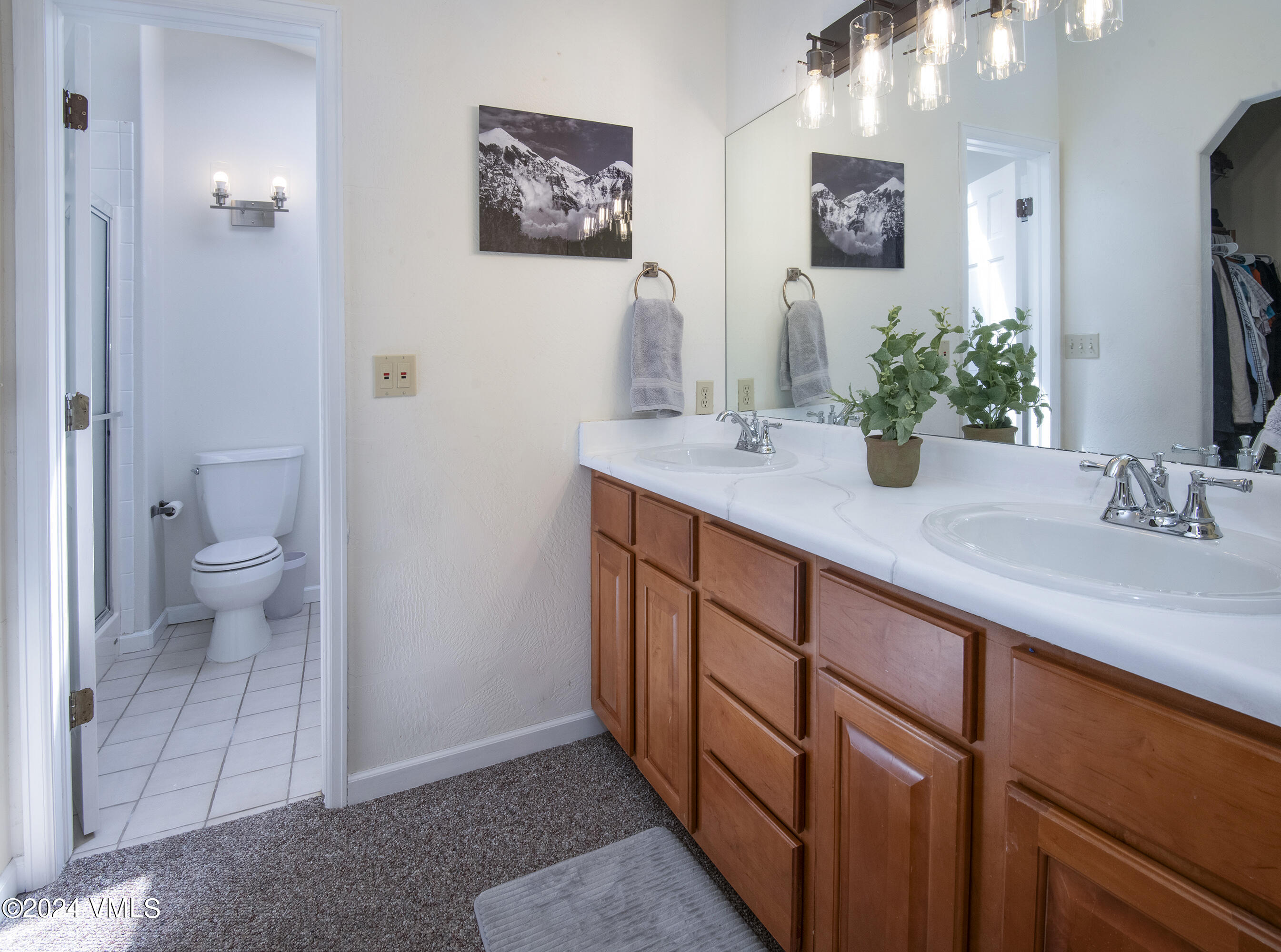 6 Ringneck Eagle, CO 81631 - Photo 24 of 59 6-Ringneck-MLS_20