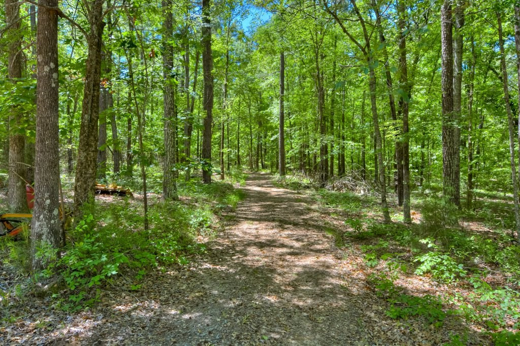 191 North Martintown Road Edgefield, SC 29824 - Photo 62 of 75 a view of outdoor space and green space