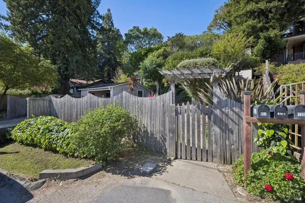a garden with trees in the background