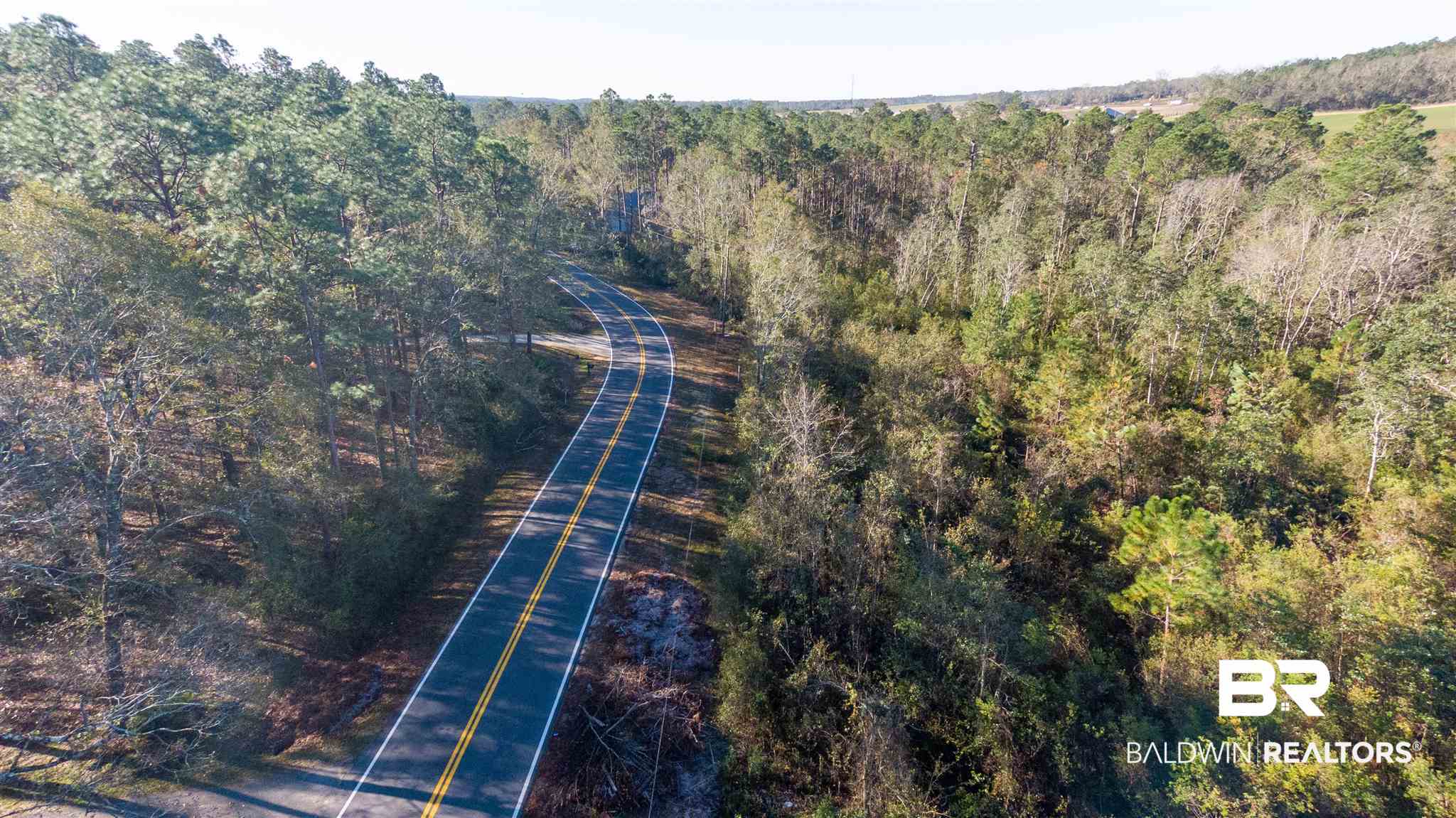 0 McPhillips Road Loxley, AL 36551 - Photo 26 of 27