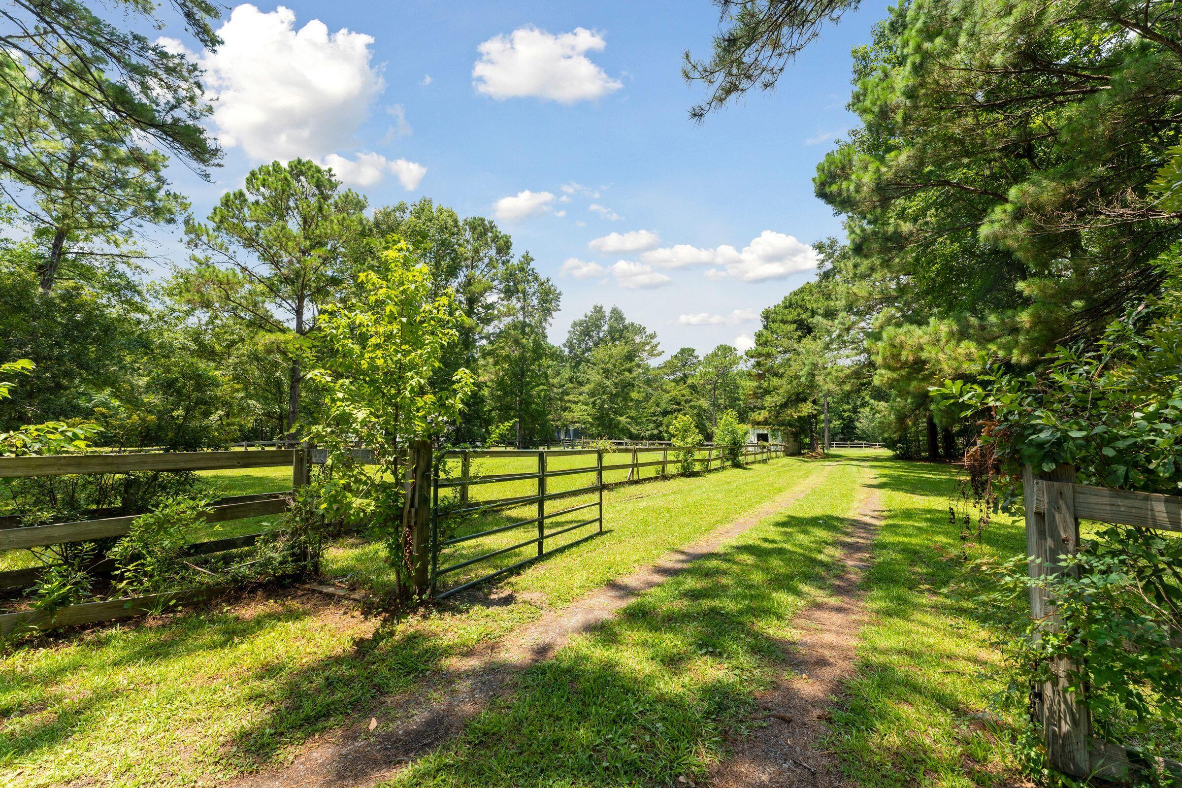 6410 North Highway 17 Awendaw, SC 29429 - Photo 3 of 34 6410Hwy17-KeenEyeMarketing-004
