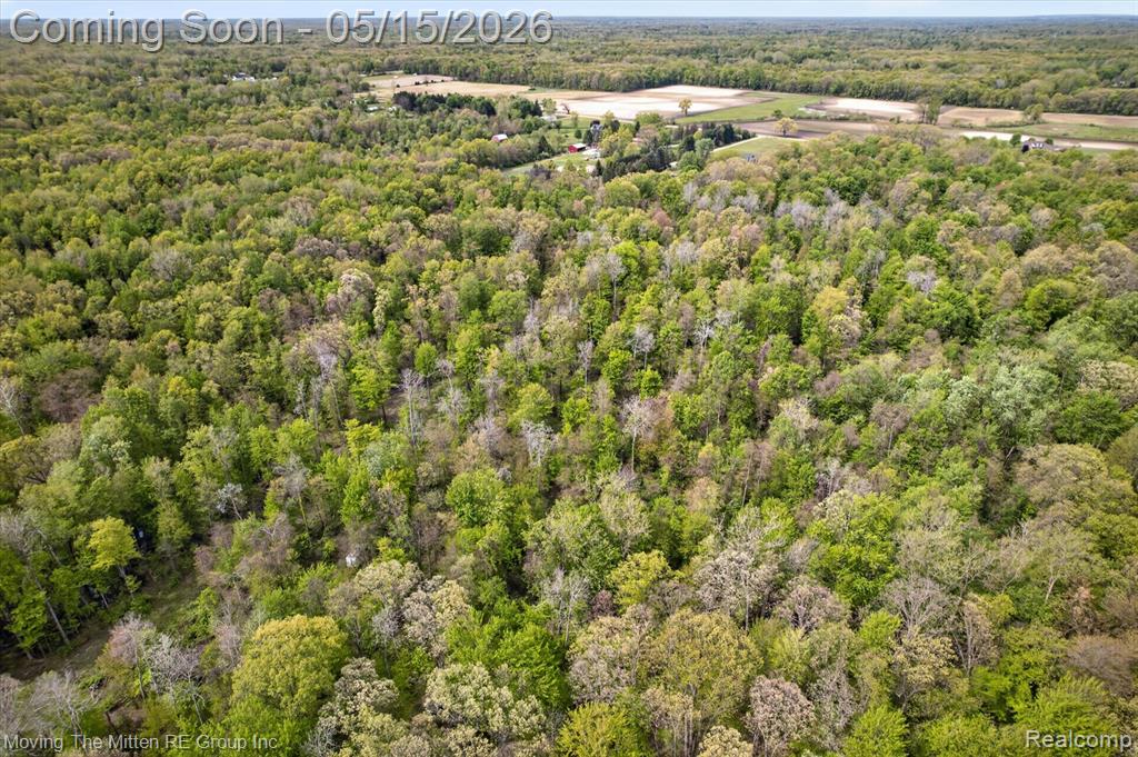 22530 Bohn Road Belleville, MI 48111 - Photo 16 of 28