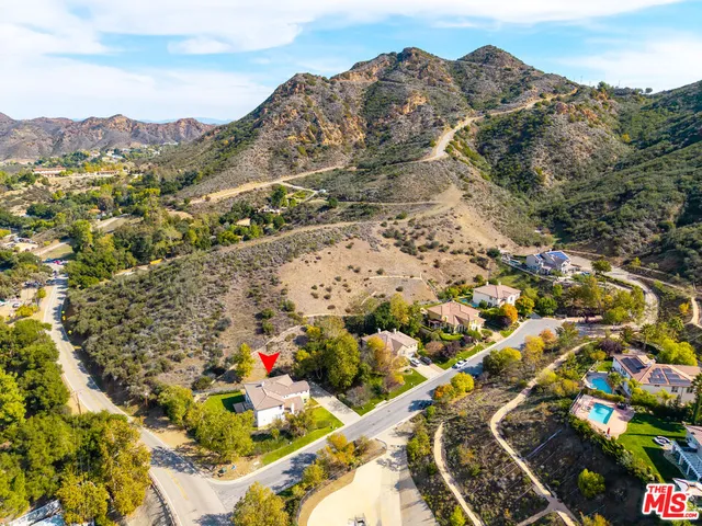 a view of a tree in a field with a tree