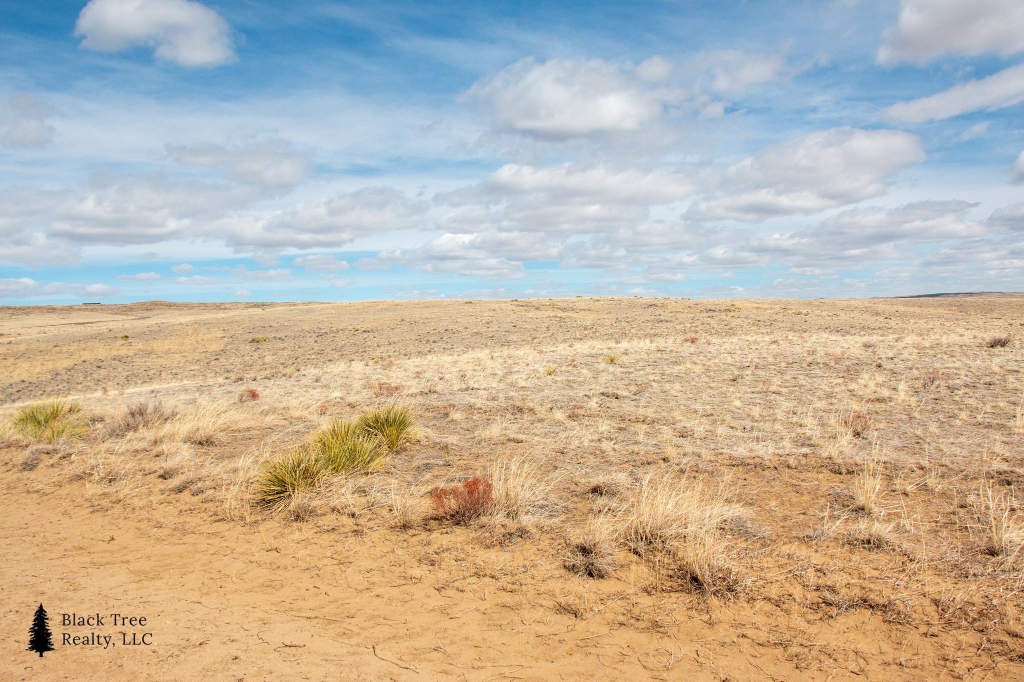353 Frontier Street Casper, WY 82601 - Photo 18 of 24