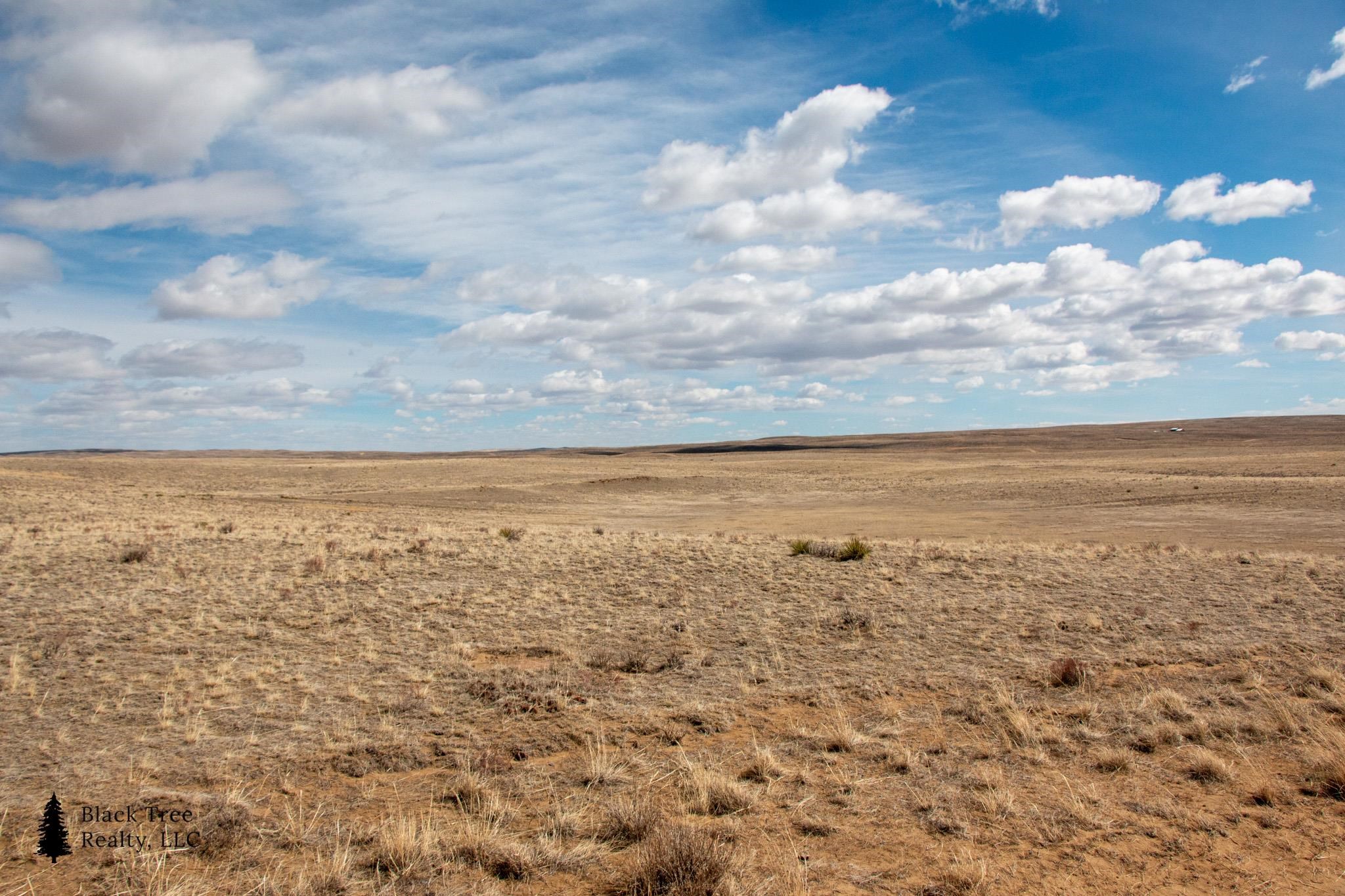 353 Frontier Street Casper, WY 82601 - Photo 21 of 24