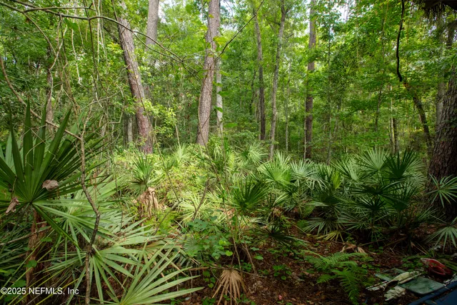 $74,900 | 5165 Chicory Circle, Middleburg, FL 32068