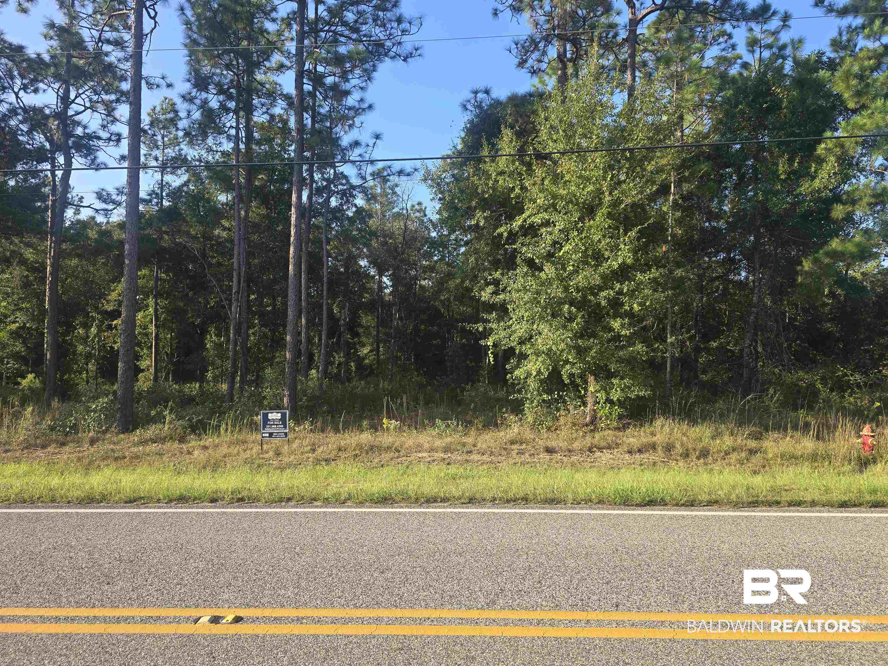 12150 Bromley Road Stapleton, AL 36578 - Photo 1 of 1