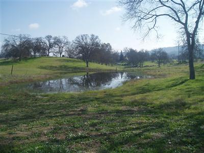 10580 Millerton Road Clovis, CA 93619 - Photo 13 of 45 View of Pond in East Pasture