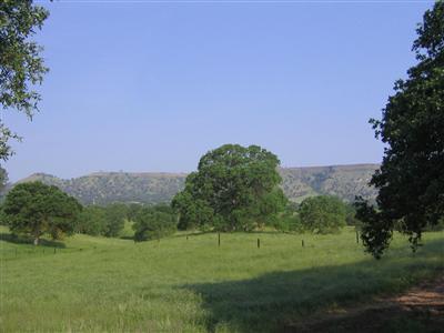 10580 Millerton Road Clovis, CA 93619 - Photo 39 of 45 View of Lush Pasture.