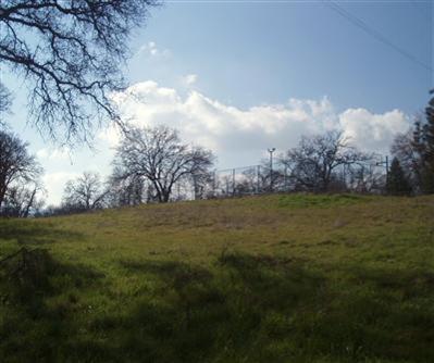 10580 Millerton Road Clovis, CA 93619 - Photo 40 of 45 View of Sports Court from Pond area.