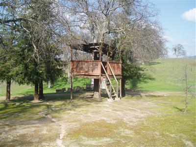 10580 Millerton Road Clovis, CA 93619 - Photo 43 of 45 Treehouse in backyard. Please do not let clients or children go into this.