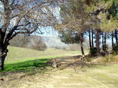 10580 Millerton Road Clovis, CA 93619 - Photo 6 of 45 Circle Drive going behind home