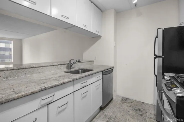 $2,650 | 4 Martine Avenue, Unit PH118, White Plains, NY 10606