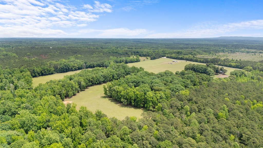 186 Beech Springs Road Pine Mountain, GA 31822 - Photo 15 of 59