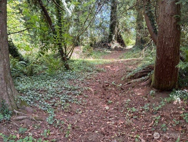 125 Village Road Mossyrock, WA 98564 - Photo 15 of 39