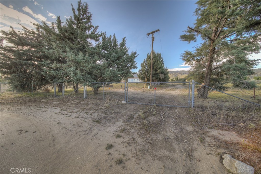 a view of a yard with a tree