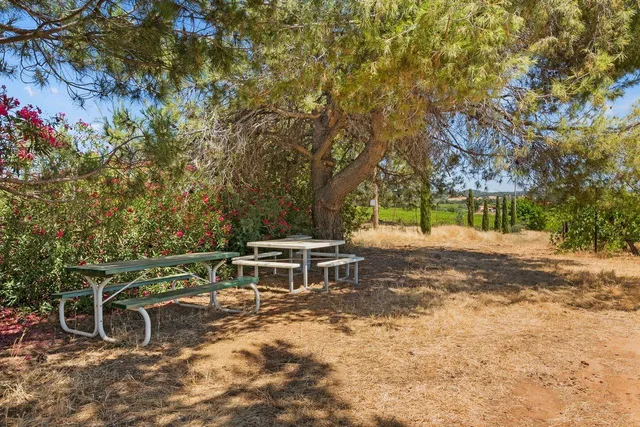 a view of a yard with wooden fence