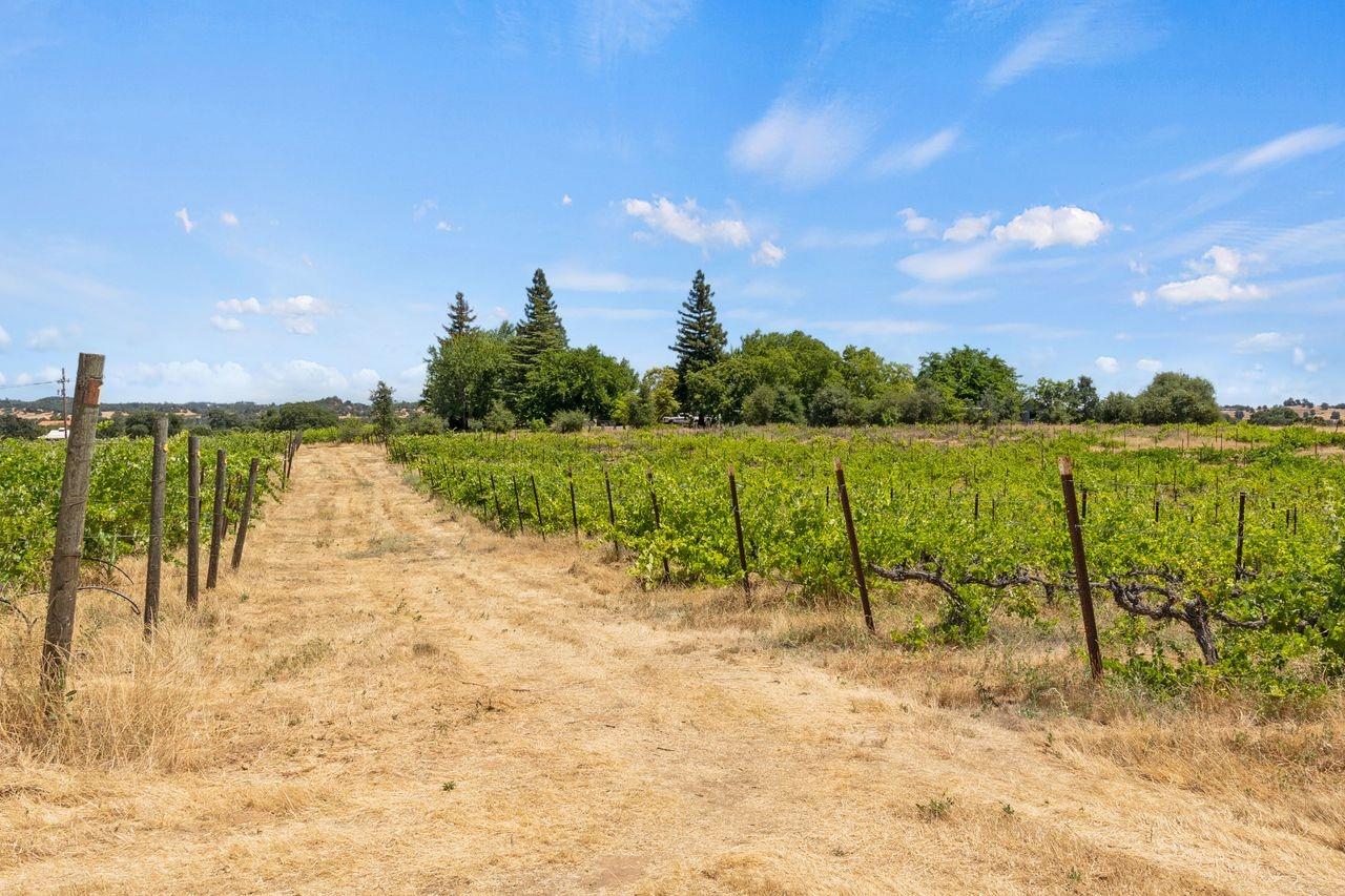 21226 Dickson Road Plymouth, CA 95669 - Photo 12 of 36 a view of a lake with outdoor space