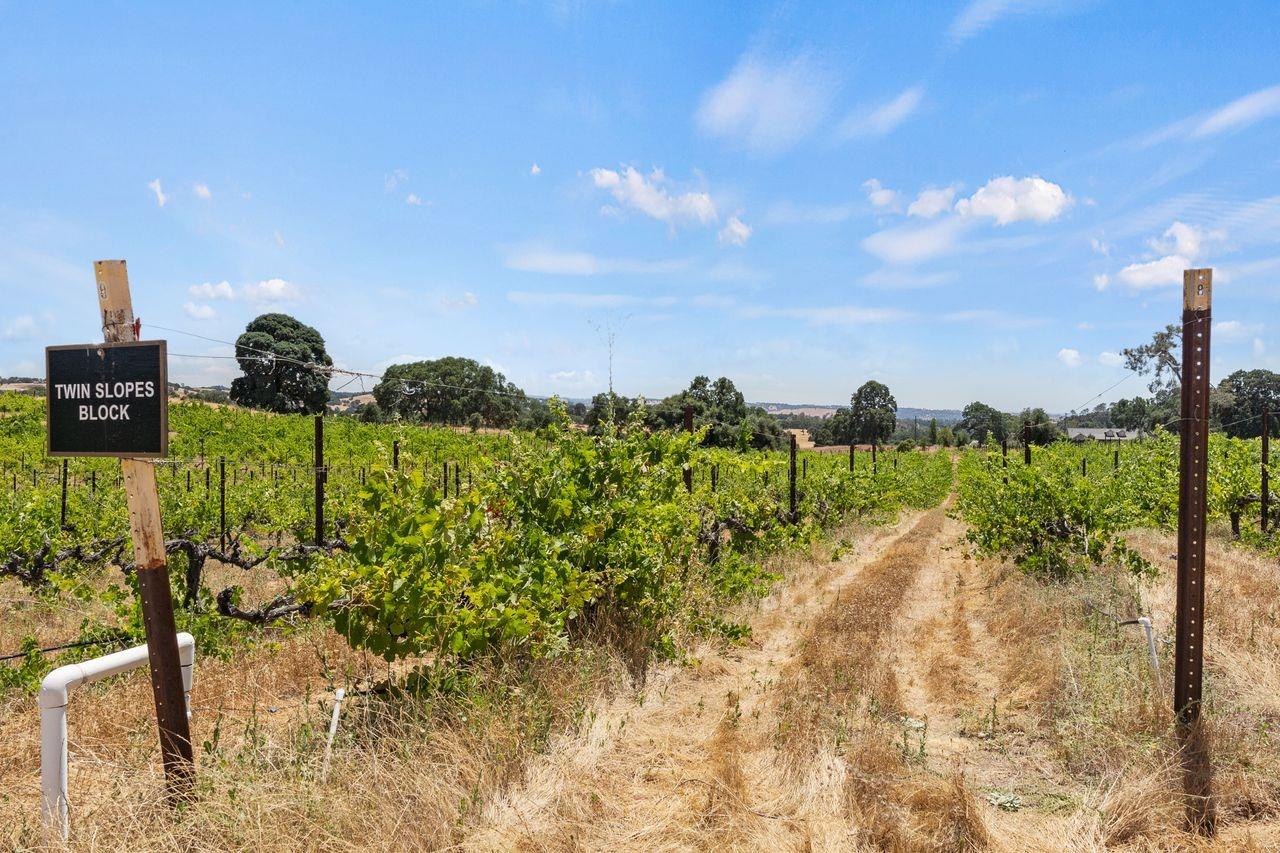 21226 Dickson Road Plymouth, CA 95669 - Photo 15 of 36 a view of a garden