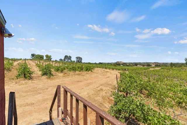 a view of a tree with both of yard