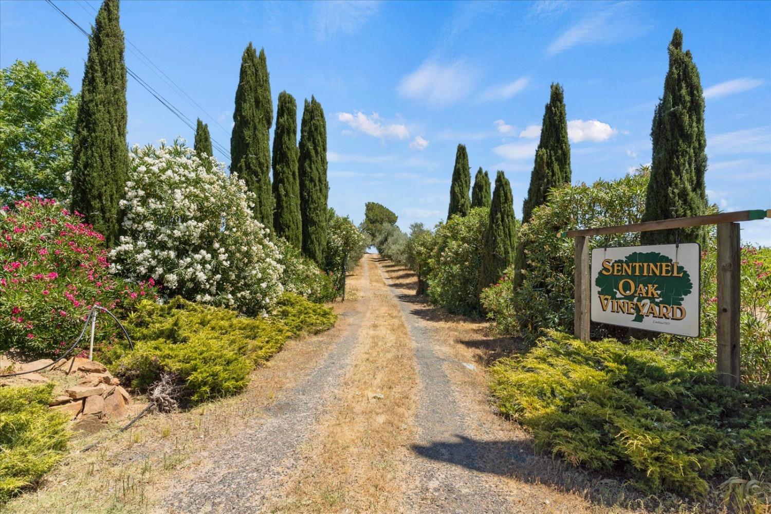 21226 Dickson Road Plymouth, CA 95669 - Photo 2 of 36 a view of a street with potted plants