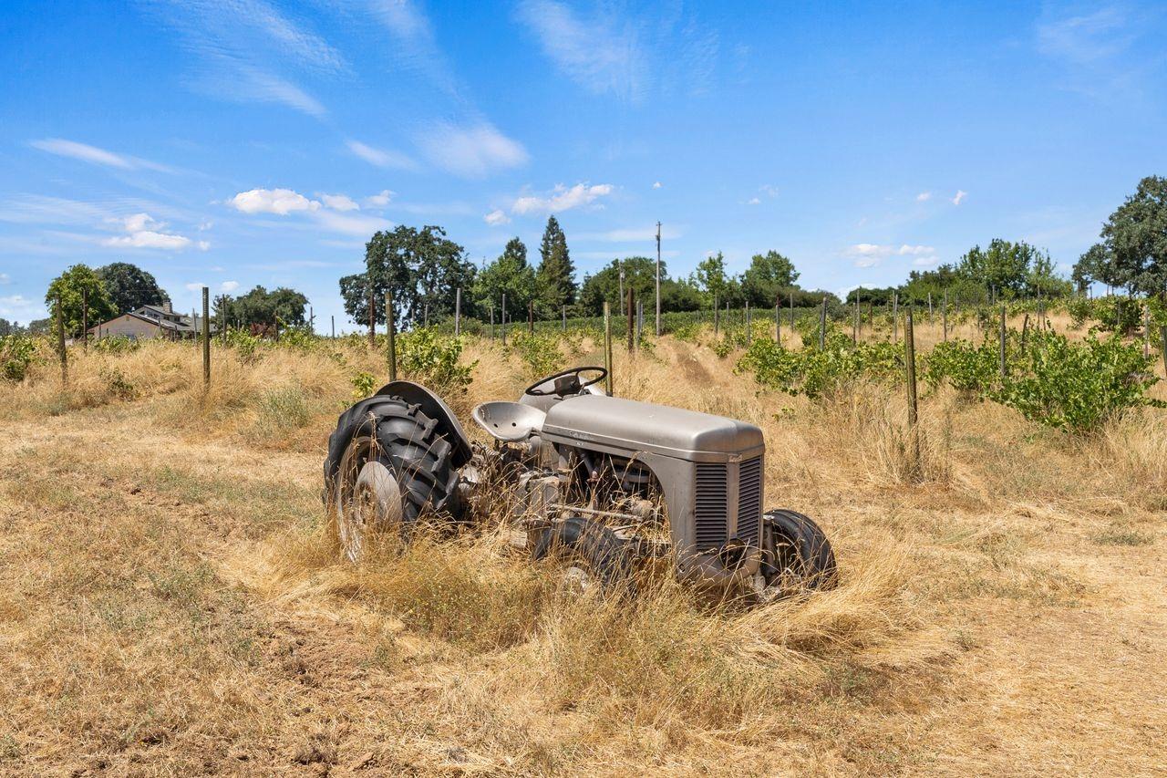 21226 Dickson Road Plymouth, CA 95669 - Photo 26 of 36 a view of a lake with a patio
