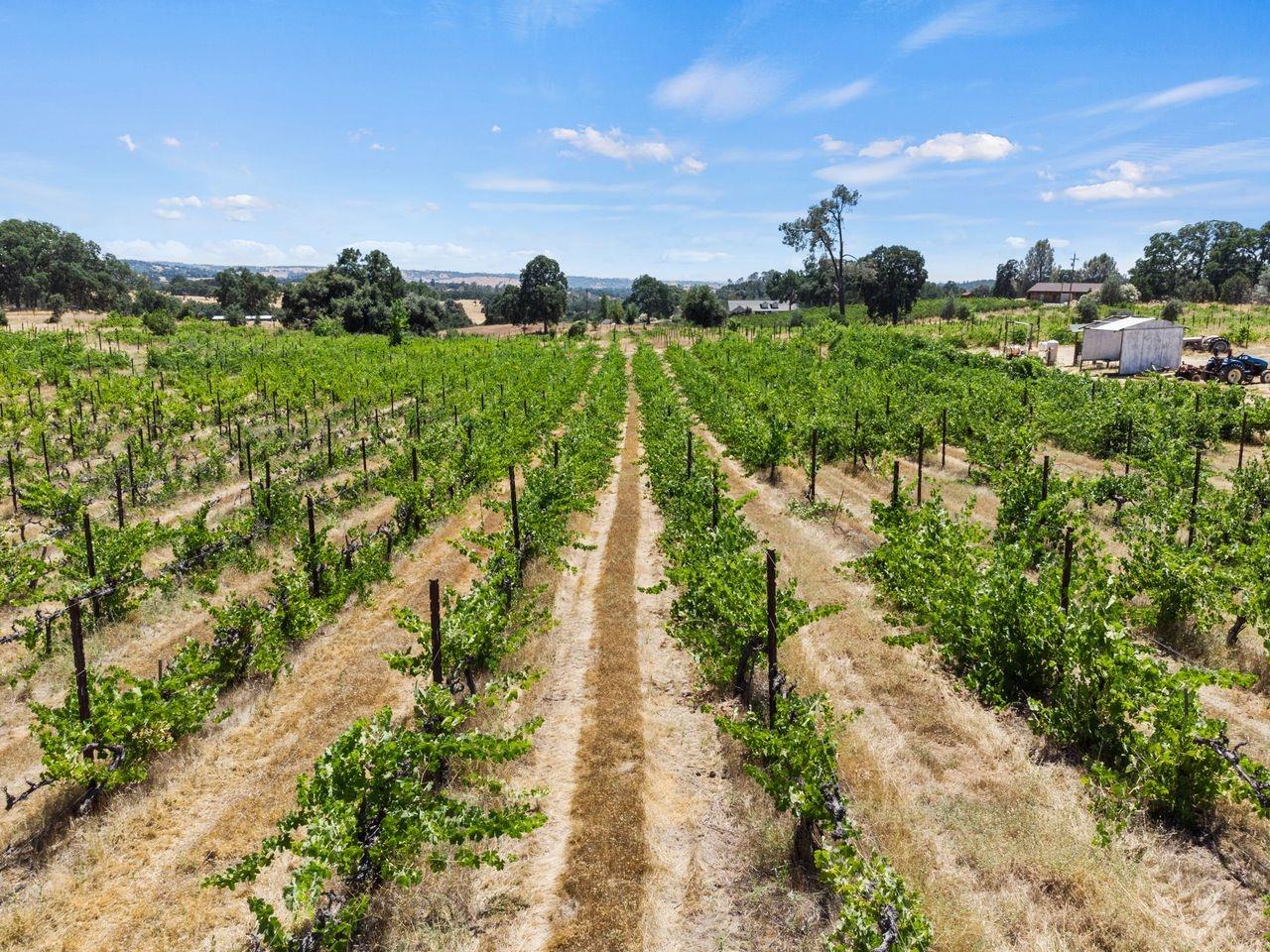 21226 Dickson Road Plymouth, CA 95669 - Photo 30 of 36 a view of a lake with a yard