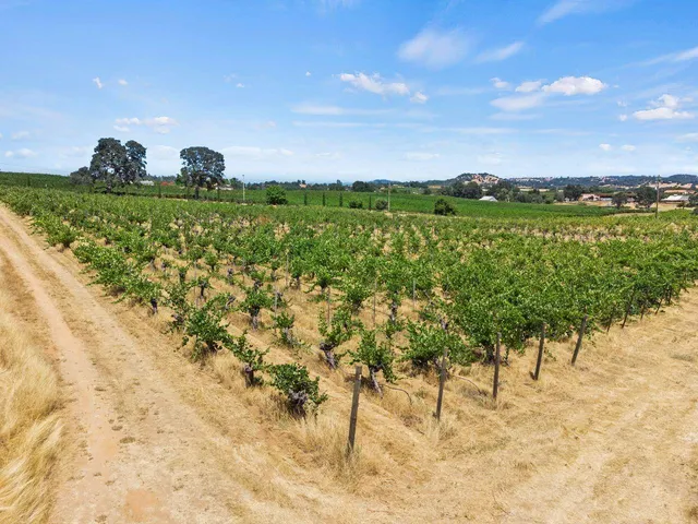 a view of a field with an ocean view