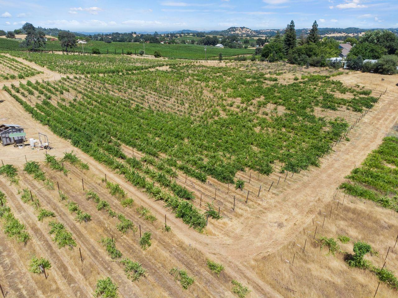 21226 Dickson Road Plymouth, CA 95669 - Photo 33 of 36 a view of a field with an ocean view