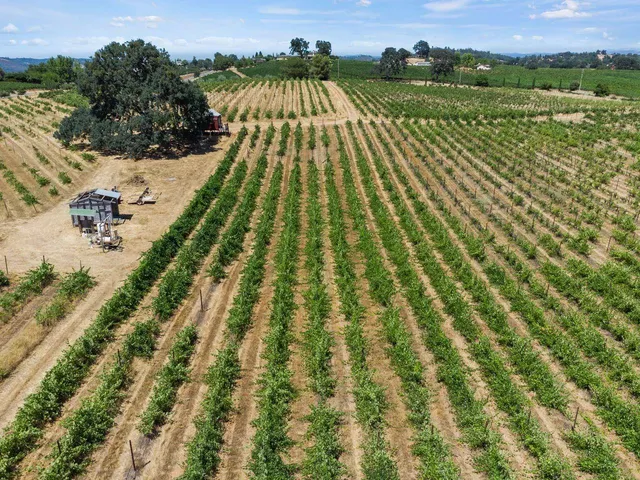 $560,000 | 21226 Dickson Road, Plymouth, CA 95669