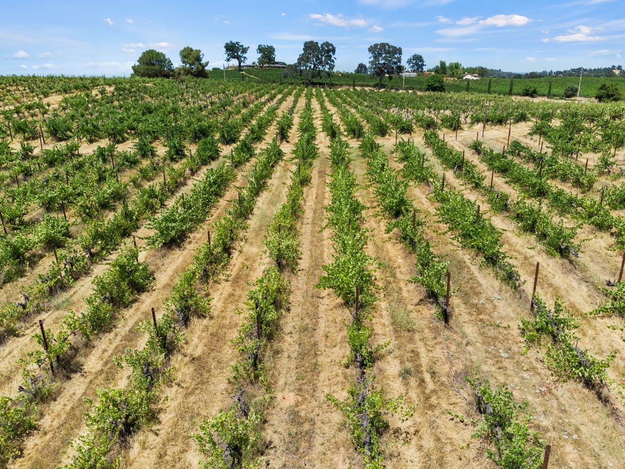 21226 Dickson Road Plymouth, CA 95669 - Photo 35 of 36