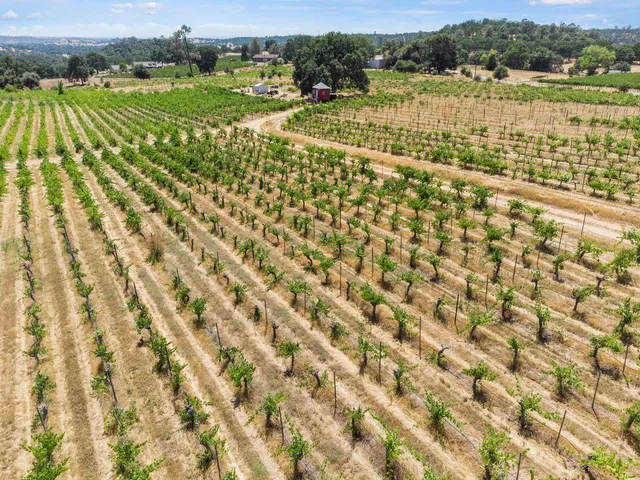 $560,000 | 21226 Dickson Road, Plymouth, CA 95669