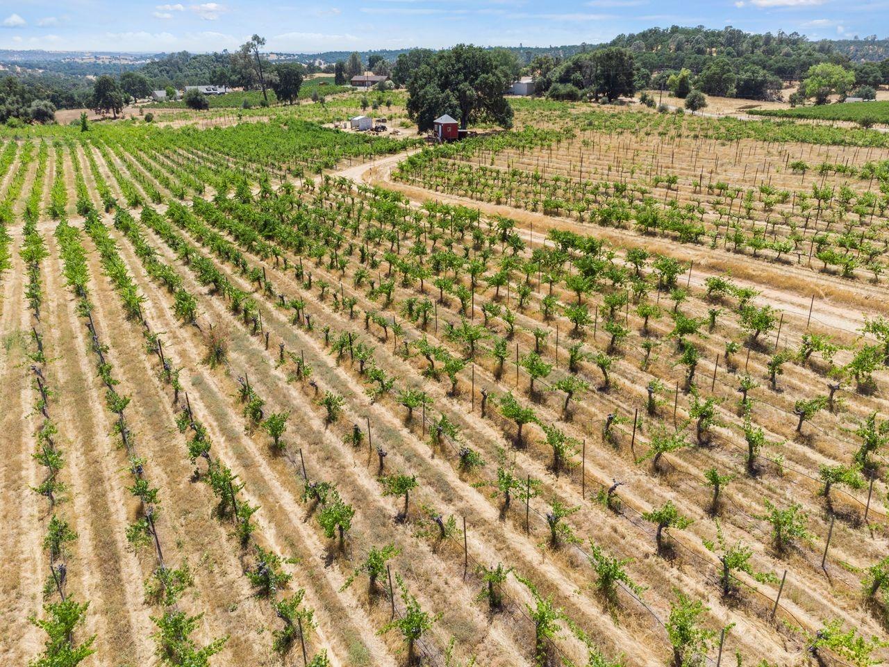 21226 Dickson Road Plymouth, CA 95669 - Photo 36 of 36 a view of a city with an ocean view