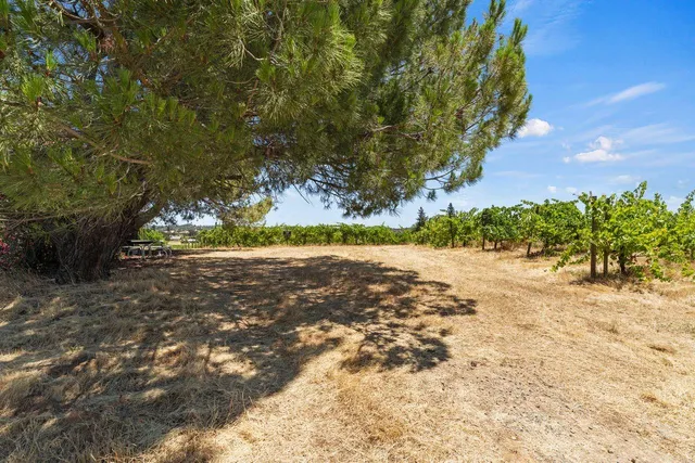 a view of yard with green space