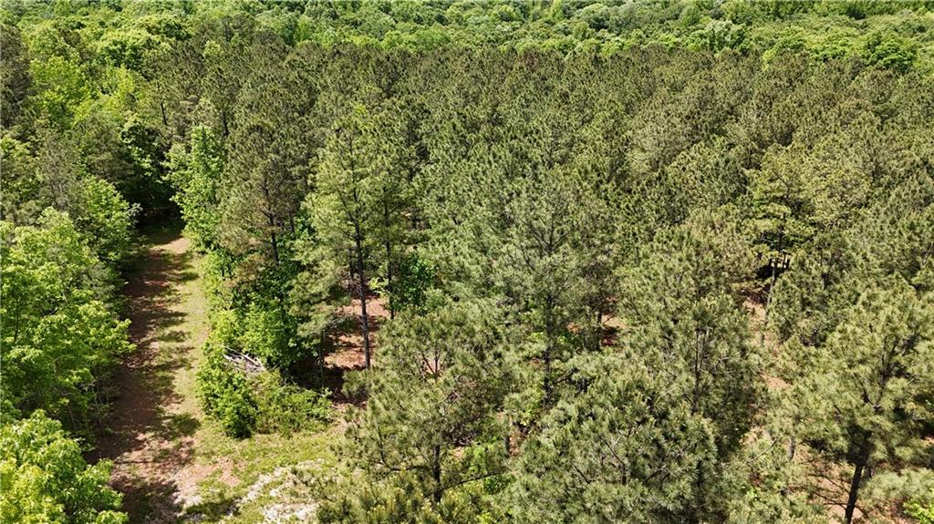 1 Wilson Road Temple, GA 30179 - Photo 75 of 88