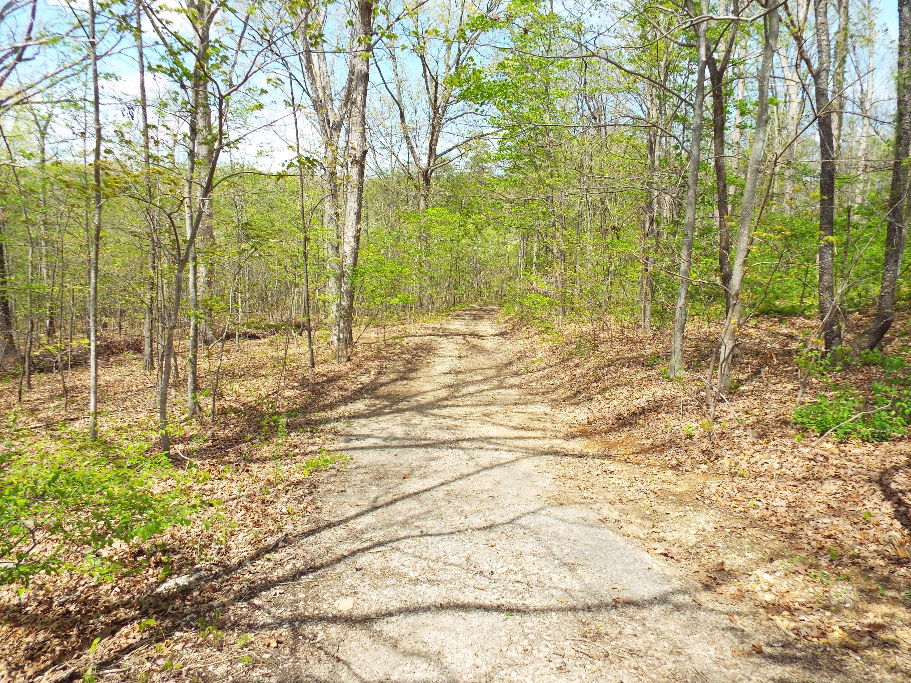 7730 Morganton Road Greenback, TN 37742 - Photo 8 of 40 DSCF0676