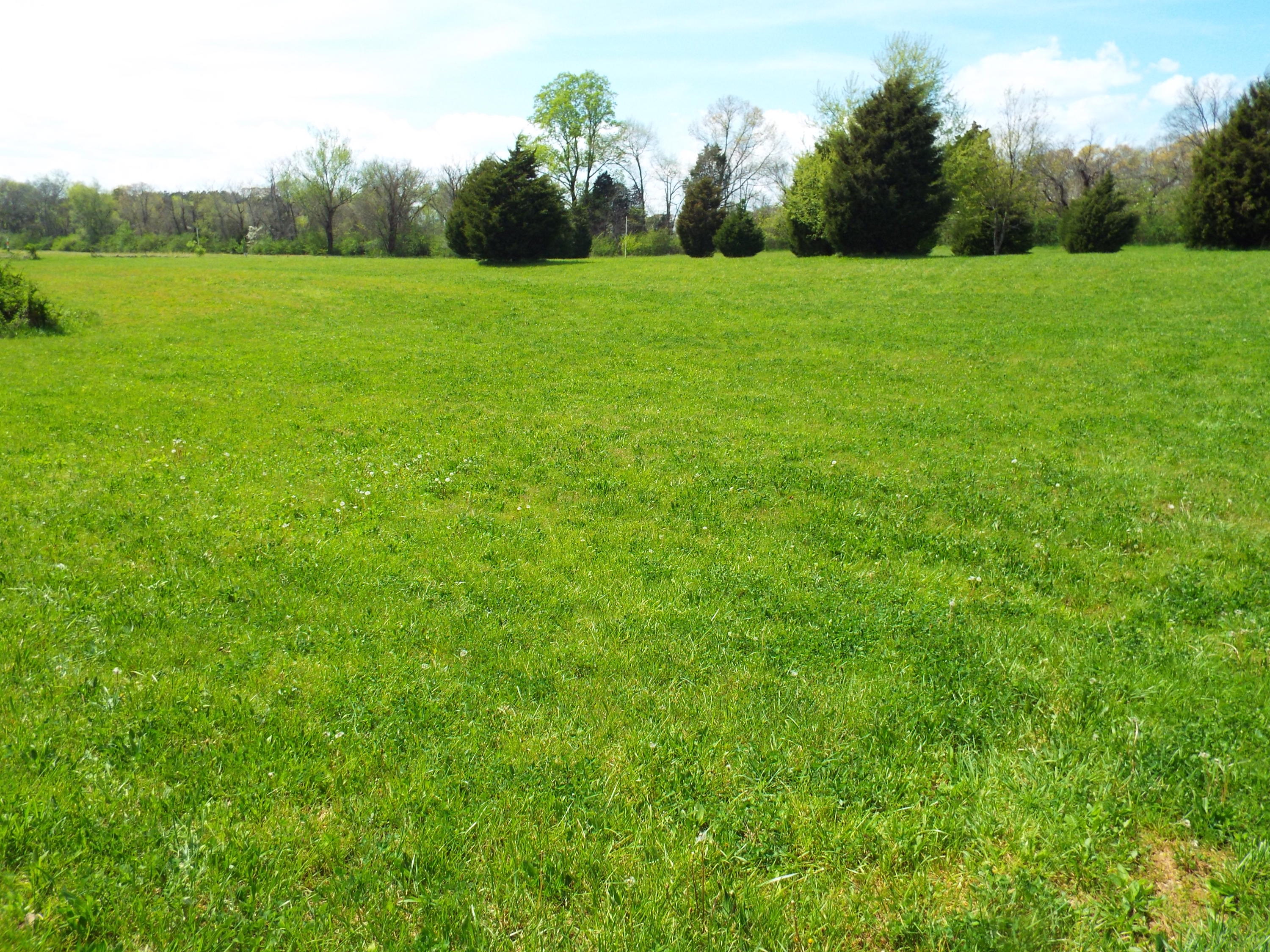7730 Morganton Road Greenback, TN 37742 - Photo 9 of 40 DSCF0680