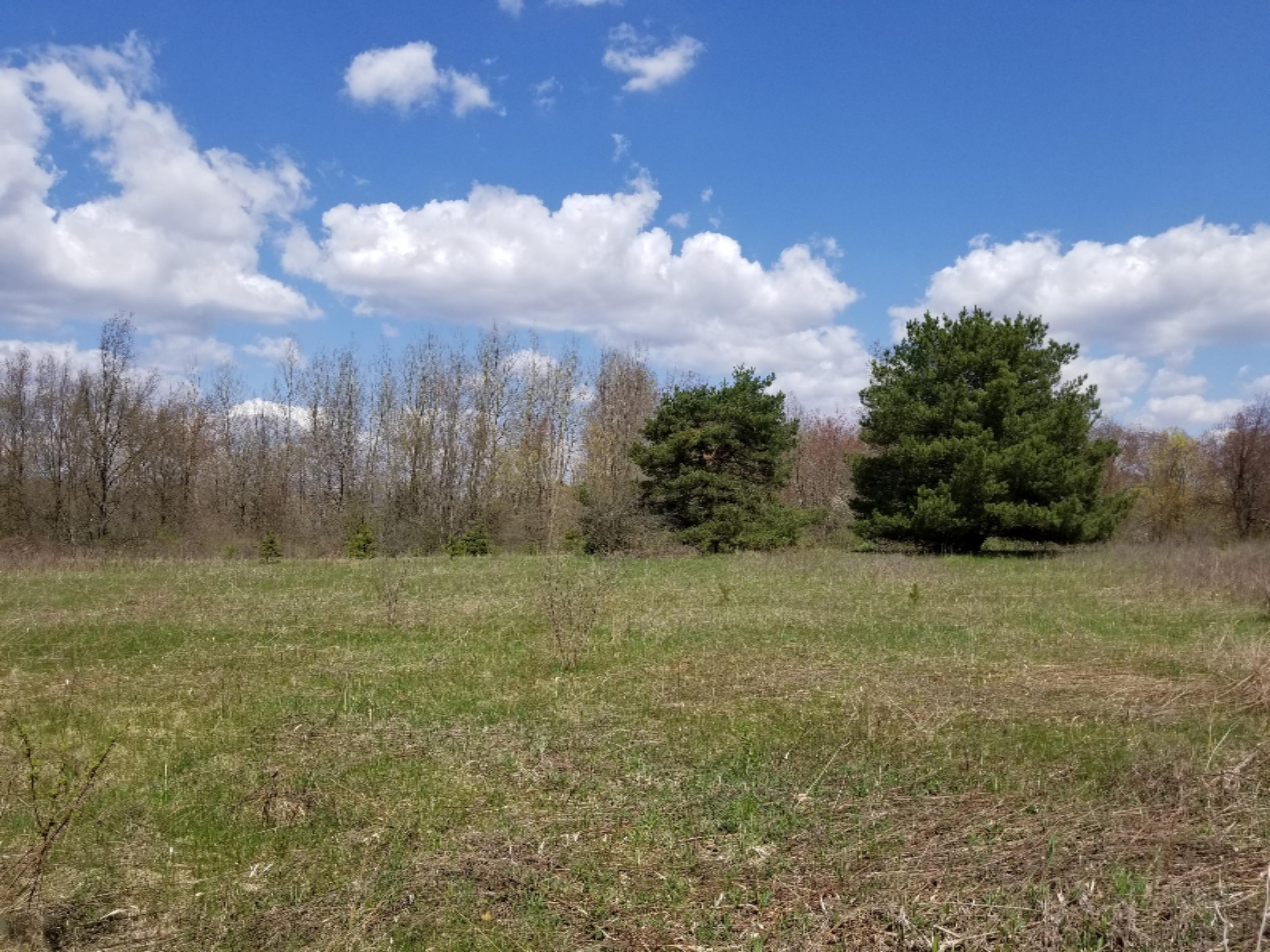 22640 Stanton Road Sand Lake, MI 49343 - Photo 3 of 4 20190505_131554