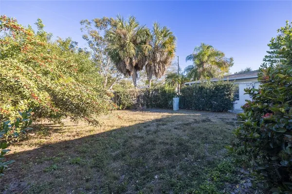 a view of a yard with plants and trees