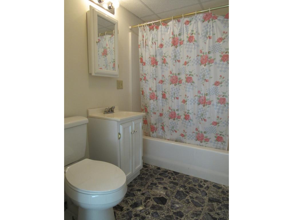 60 Snake Road Mosheim, TN 37818 - Photo 17 of 26 Bathroom in Basement