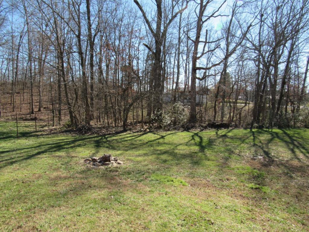 60 Snake Road Mosheim, TN 37818 - Photo 26 of 26 View of Yard