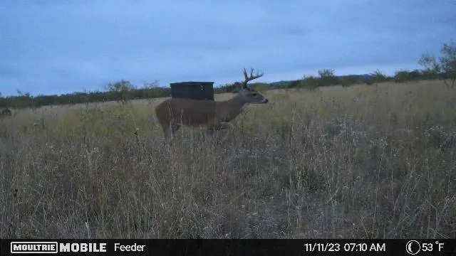 a view of outdoor space with trees