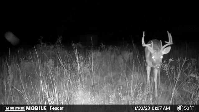 8623 Us-83 Ovalo, TX 79541 - Photo 37 of 40 a view of wooden floor and a bench in a row