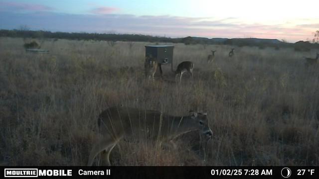 8623 Us-83 Ovalo, TX 79541 - Photo 39 of 40 a view of a lake